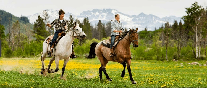 Confident plus-size woman riding Felixstowe a horse through a field with a smile on her face.